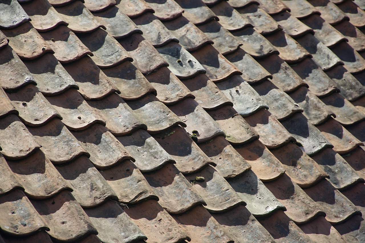 roof-8193787_1280